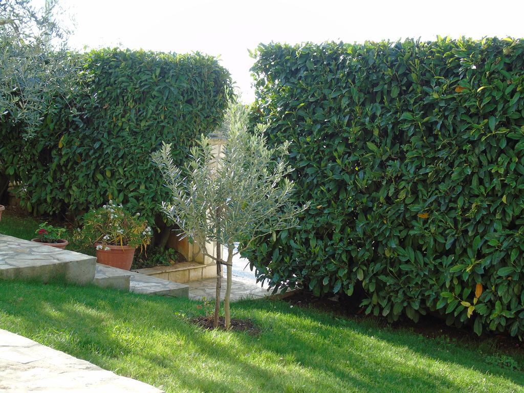Apartment Karla Poreč Dış mekan fotoğraf